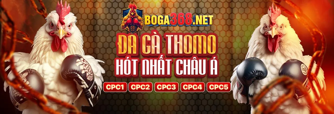 Hình ảnh chính Tin tức mu66 app 2026