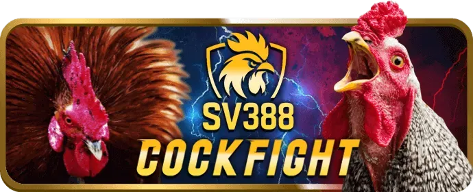 Cá Cược Tennis mu66 app
